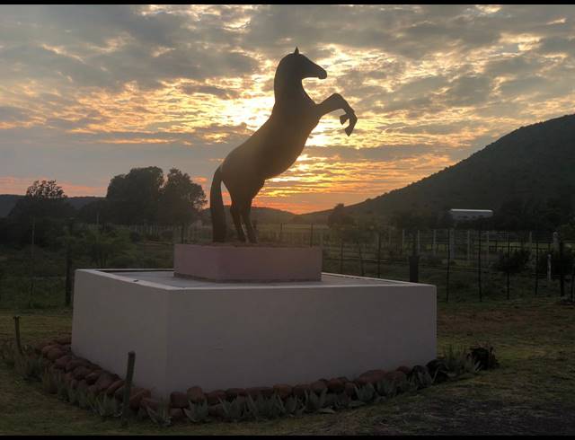 471HA FARM FOR SALE IN MIDDELBURG RURAL